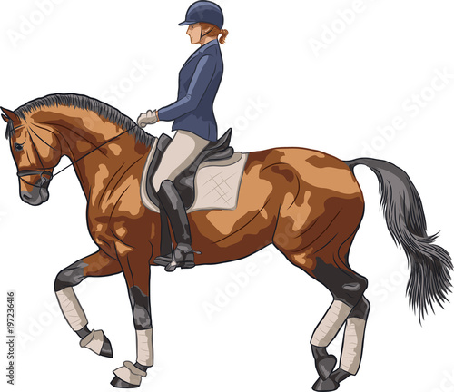 Sketch of a rider and horse execute the piaffe.