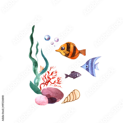 Beautiful hand drawn illustration seaweed and fish.