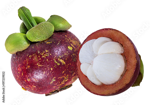 Mangosteen isolated on white background