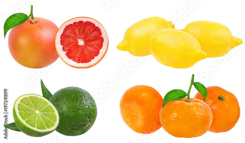 Citrus Fruit Set (tangerine, grapefruit, lime, lemon) isolated on white background.