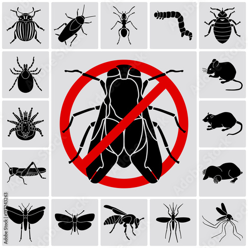 Insects and pests detailed icons set