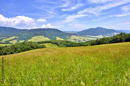 Summer landscape with green field against a blue sky with clouds.