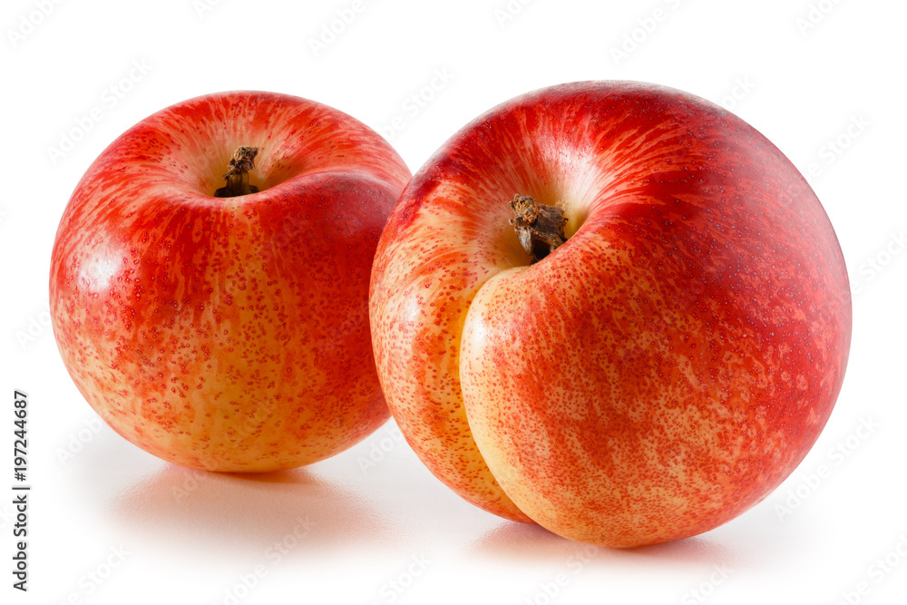 Nectarines isolated on white Nectarines isolated on white
