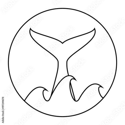 Whale tail vector