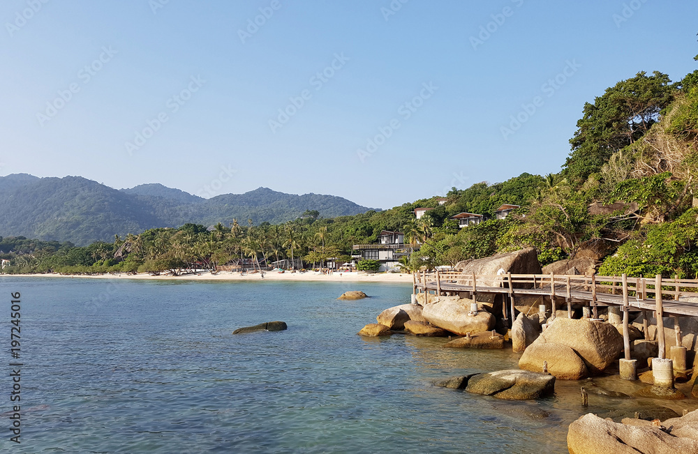 Picture of wooden bridge near trees by sea coast Picture of wooden bridge near trees by sea coast