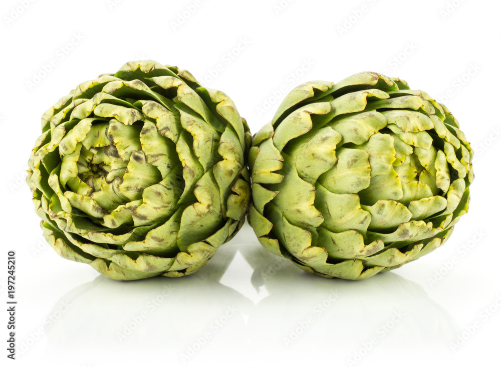 Fototapeta premium Fresh globe artichoke flowers isolated on white background raw two green.