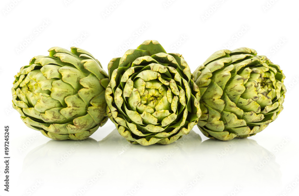 Three globe artichoke flowers in row isolated on white background fresh raw green. Three globe artichoke flowers in row isolated on white background fresh raw green.