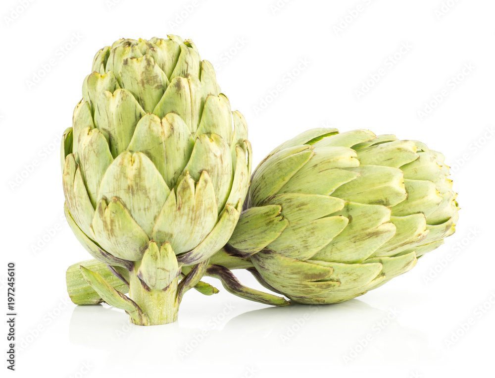 Obraz premium Two globe artichoke isolated on white background fresh raw.
