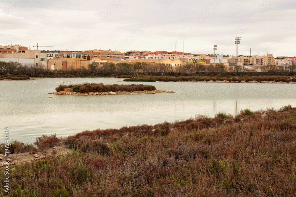 Fototapeta premium Wetlands of Santa Pola
