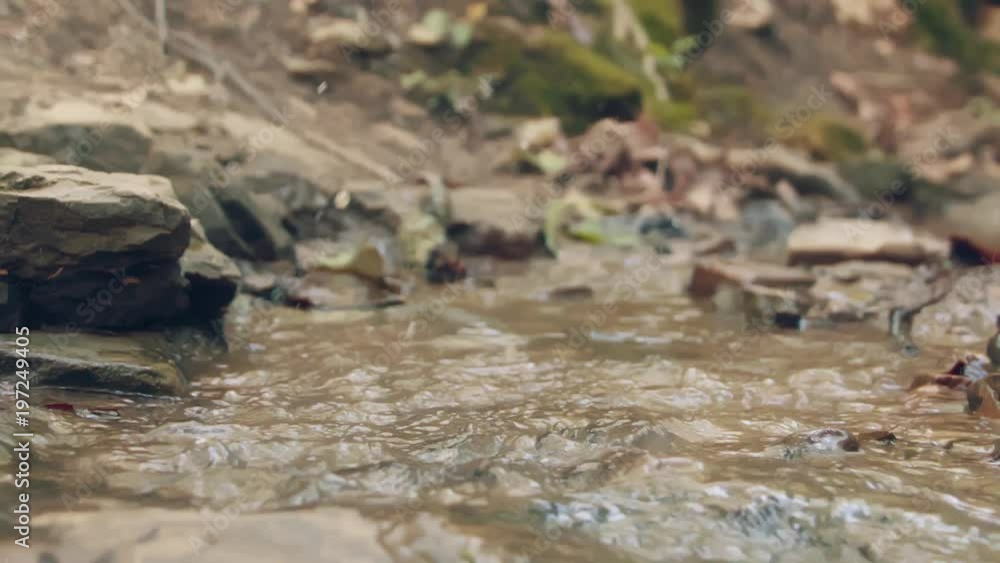 Close Up Of A Soldier's Boot Running Through Water Close Up Of A Soldier's Boot Running Through Water
