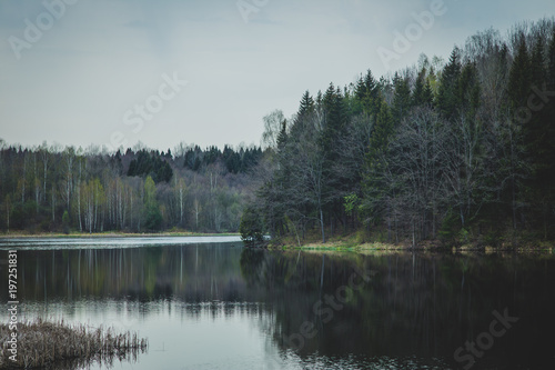 View of the lake and the forest on a cloudy day