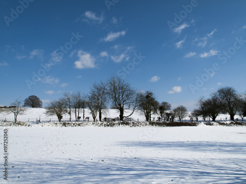 Wallpaper Mural Wintry rural snow scene in mid march on farmland set against a blue sky Torontodigital.ca