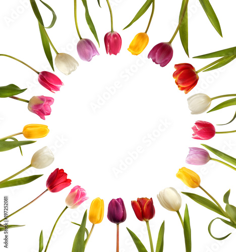 Fototapeta Naklejka Na Ścianę i Meble -  Different color tulips in the form of circle