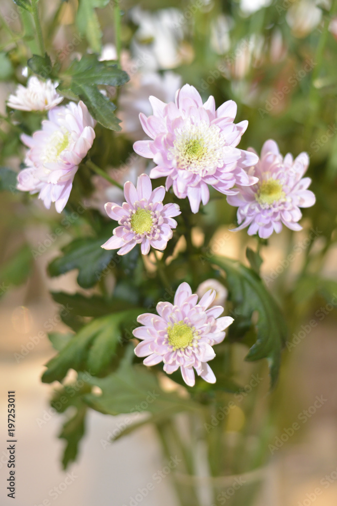 bouquet de petites fleurs