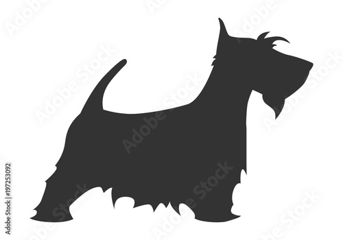 Scotch terrier silhouette breed dog simple black white