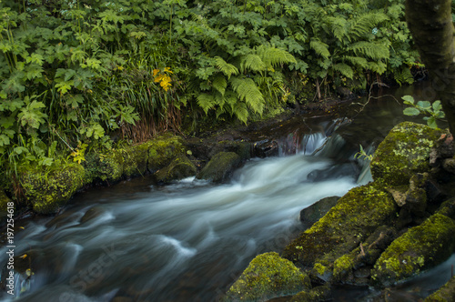 Flowing water turned milky white by a long exposure as it flows around green and brown moss covered rocks.