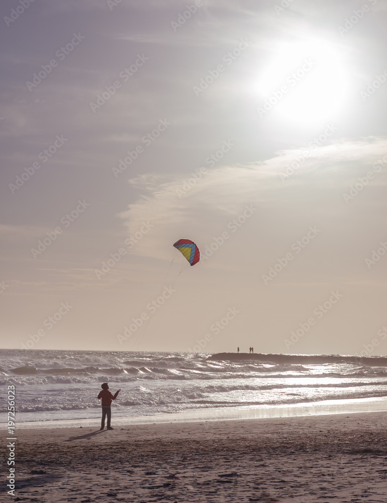 Obraz premium Boy launches a kite on the seafront. Kid having fun outdoors. Concept: summer vacation, happiness.