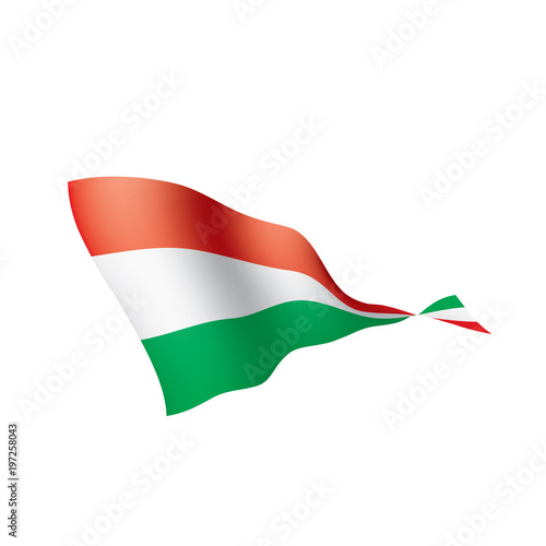 Free Download Hungary flag, vector illustration - GFXLoad