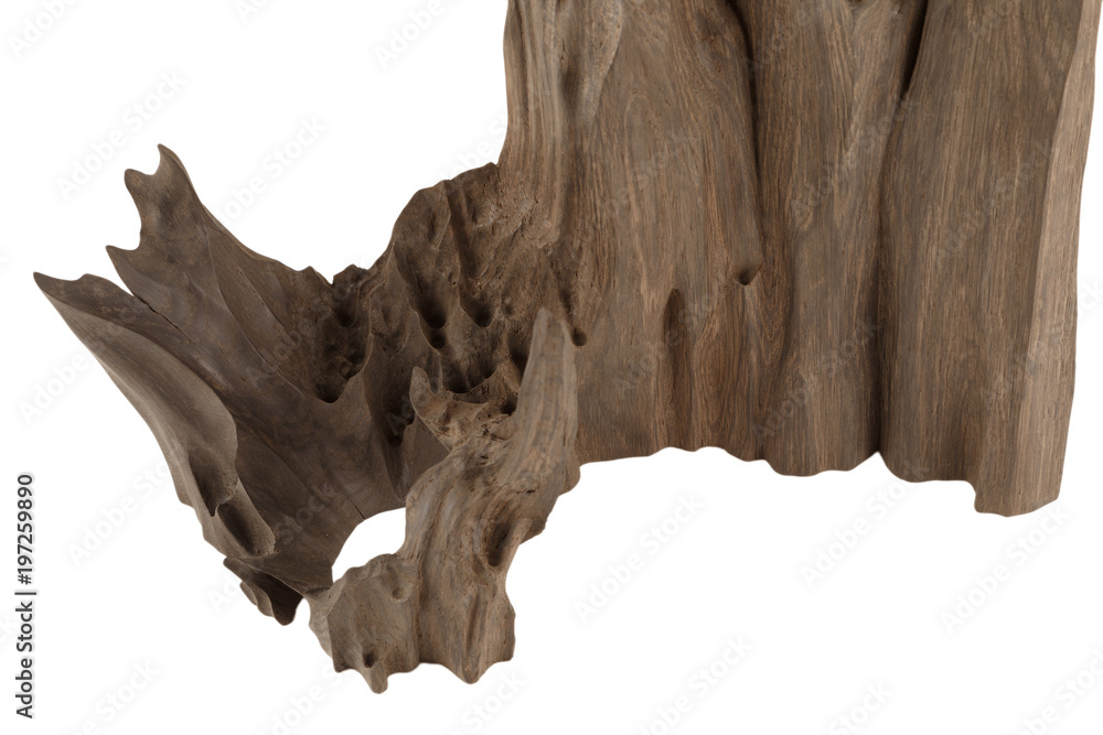 Old piece of wood on a white background, wood texture Old piece of wood on a white background, wood texture