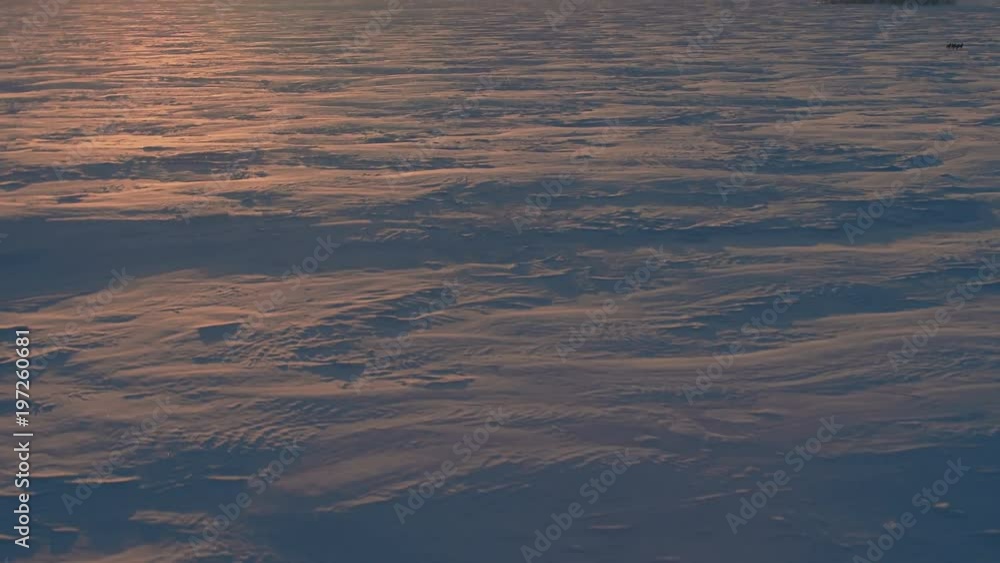 The endless snow of the Arctic The endless snow of the Arctic