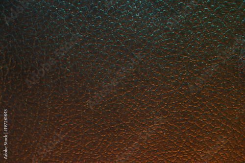 Dragon leather background