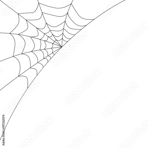 cobweb pattern- vector illustration