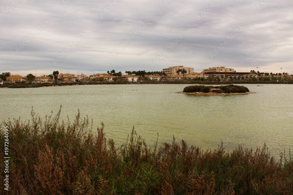 Wetlands of Santa Pola
