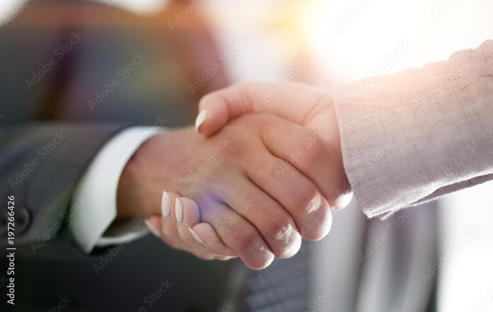 Businessmen handshaking after successful business meeting
