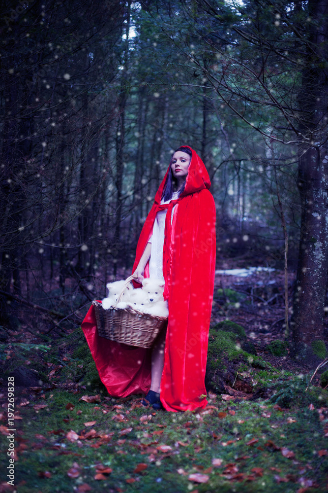 CHAPERON ROUGE CAPE SAMOYEDE CHIEN CHIOTS CONTE DE FEE FORET NEIGE CHAPERON ROUGE CAPE SAMOYEDE CHIEN CHIOTS CONTE DE FEE FORET NEIGE