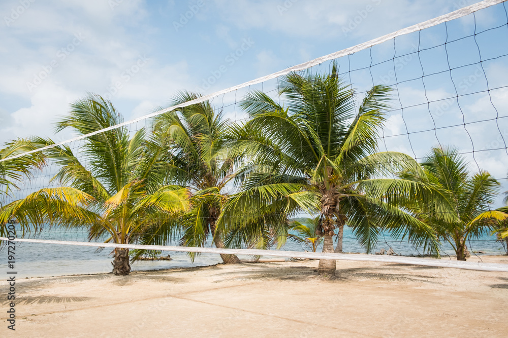 beach volleyball field with palm trees and ocean background