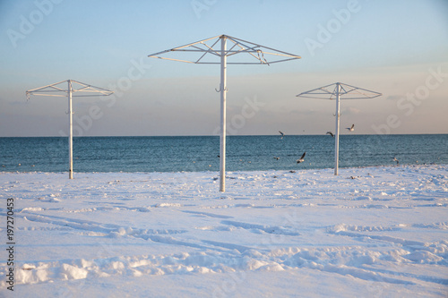 Three umbrella frames for the sun on a snowy beach in winter, group of gulls is circulating