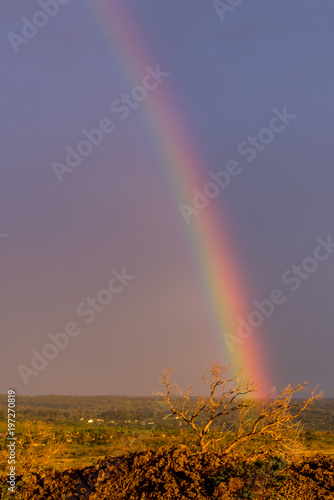 Rainbow over Crooked Tree