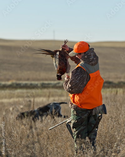 A young Pheasant hunter in South Dakota
