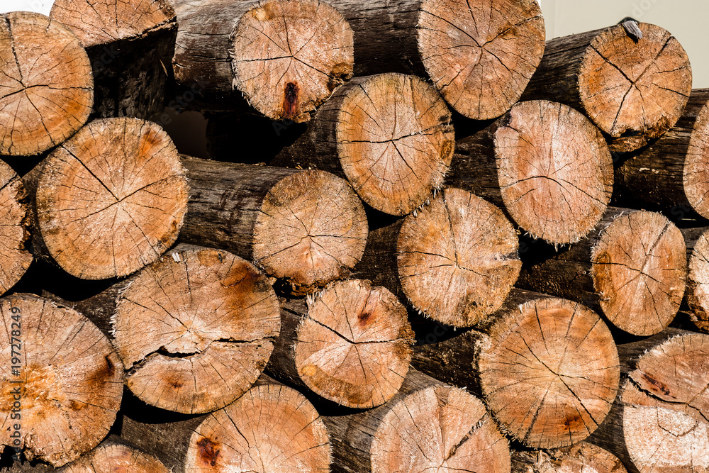 Naklejka premium wooden logs stacked up to become firewood