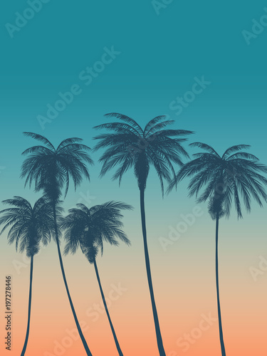 Summer background with palms, sky and sunset. Summer placard poster flyer invitation card.