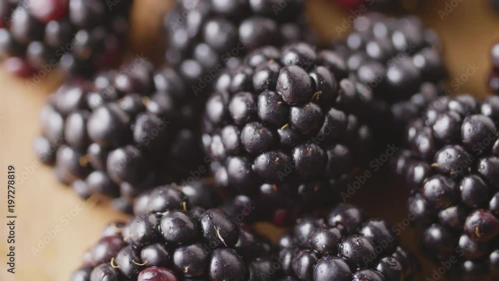 Dolly Shot Of Fresh Picked Organic Blackberries On Table Dolly Shot Of Fresh Picked Organic Blackberries On Table