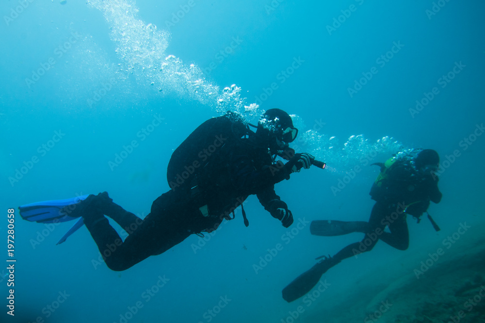 divers in immersion near the reef divers in immersion near the reef