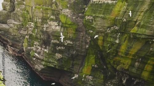 High Angle View Of Seabirds Perching On Skellig Michael
