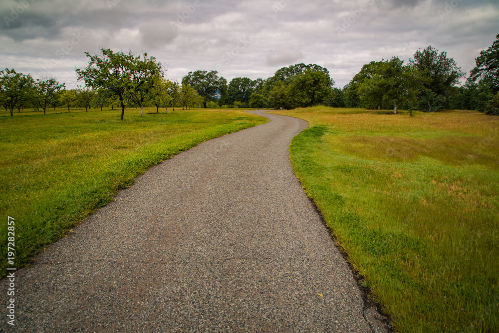 Path winding through a grassy field with oak trees and a stormy sky with clouds
