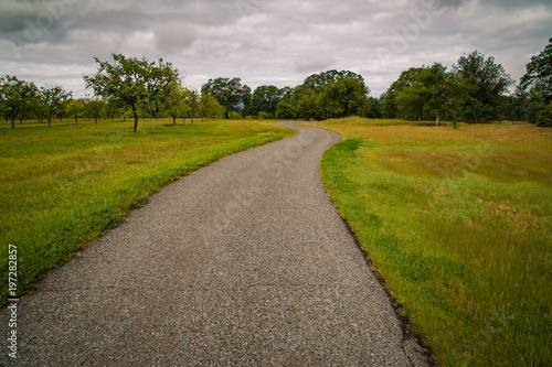Path winding through a grassy field with oak trees and a stormy sky with clouds