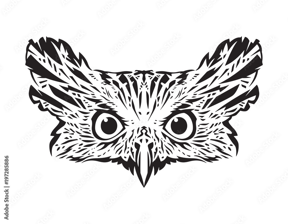 Owl vector 