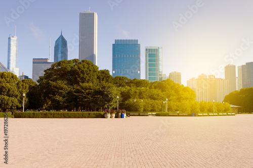 Fototapeta Naklejka Na Ścianę i Meble -  City Park With Chicago Skyline in Background