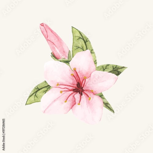 Hand drawn flower isolated © Rawpixel.com