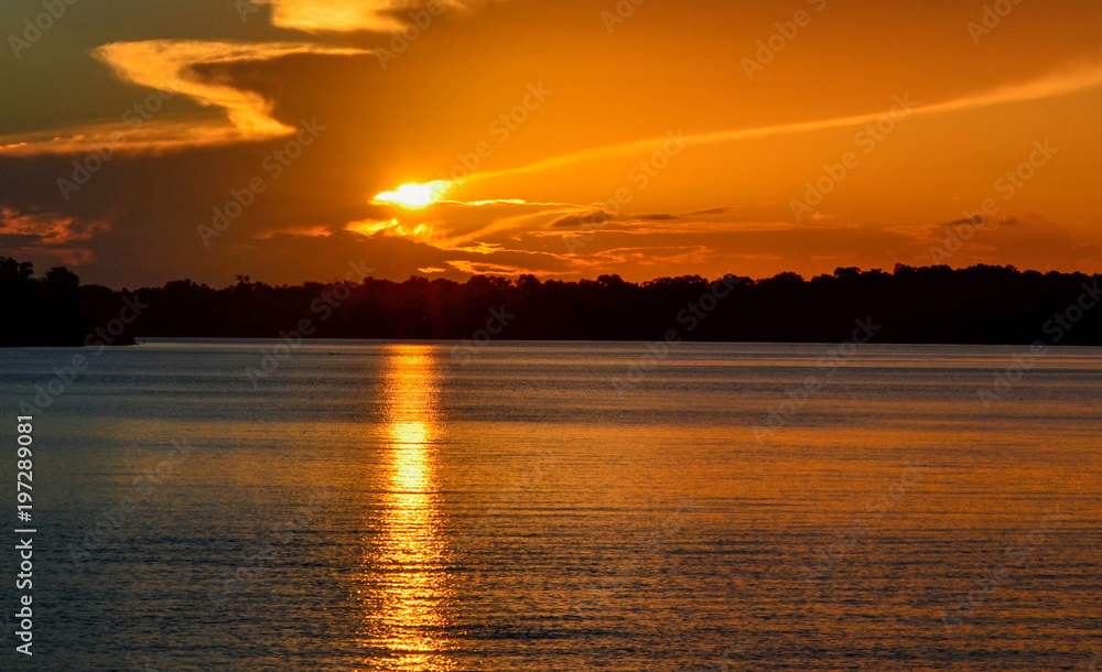 Amazon River Amazon River