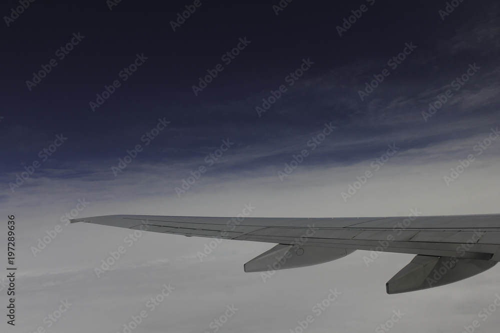 Obraz premium Wing in flight