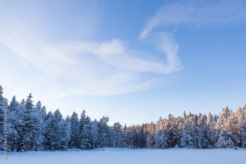 Frozen lake and snow covered forest at sunny winter day in Finland Frozen lake and snow covered forest at sunny winter day in Finland