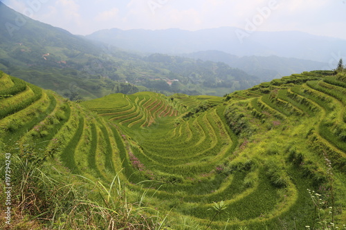 Dragon Backbone Rice Terraces in China 