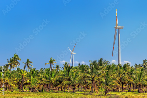 wind generators among palm trees in rural Sri Lanka. Alternative Renewable Energy Sources