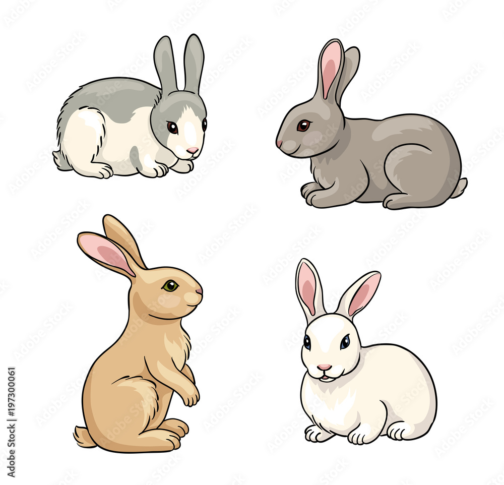 Set of Rabbits - vector illustration Set of Rabbits - vector illustration