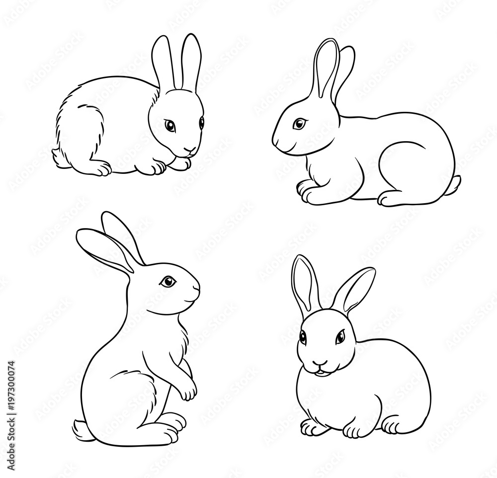 Set of Rabbits in contours - vector illustration Set of Rabbits in contours - vector illustration